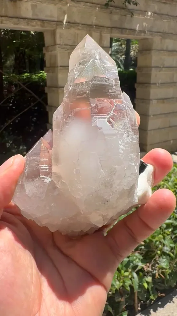 specimen video