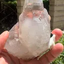 specimen video