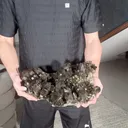 specimen video