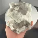specimen video