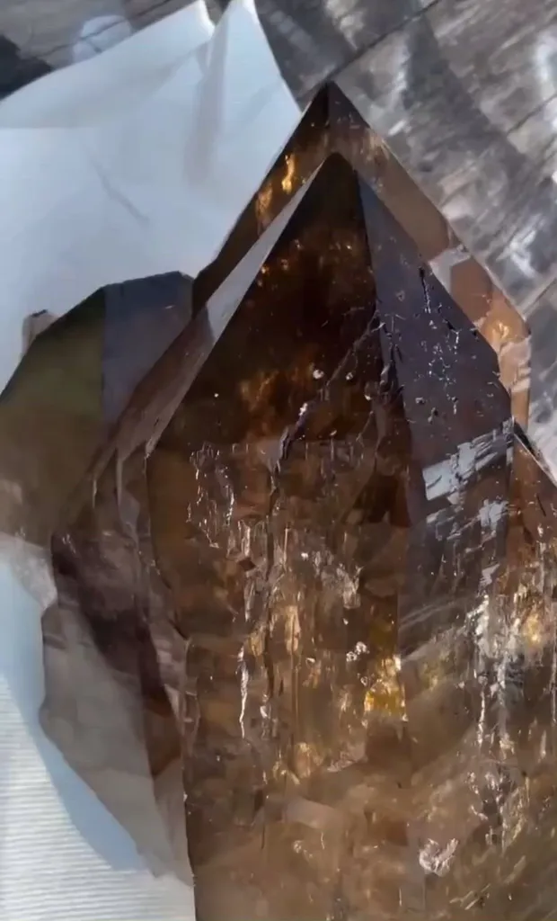 specimen video
