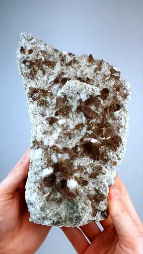 specimen video