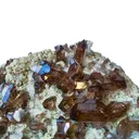 Smoky Quartz - Göscheneralp, Uri, Swiss Alps - image 1