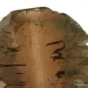 Smoky Quartz (Gwindel) - image 4
