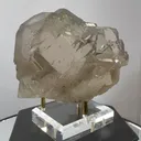 specimen video