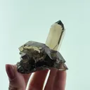 Smoky Quartz (Gwindel) on Smoky Quartz - image 2