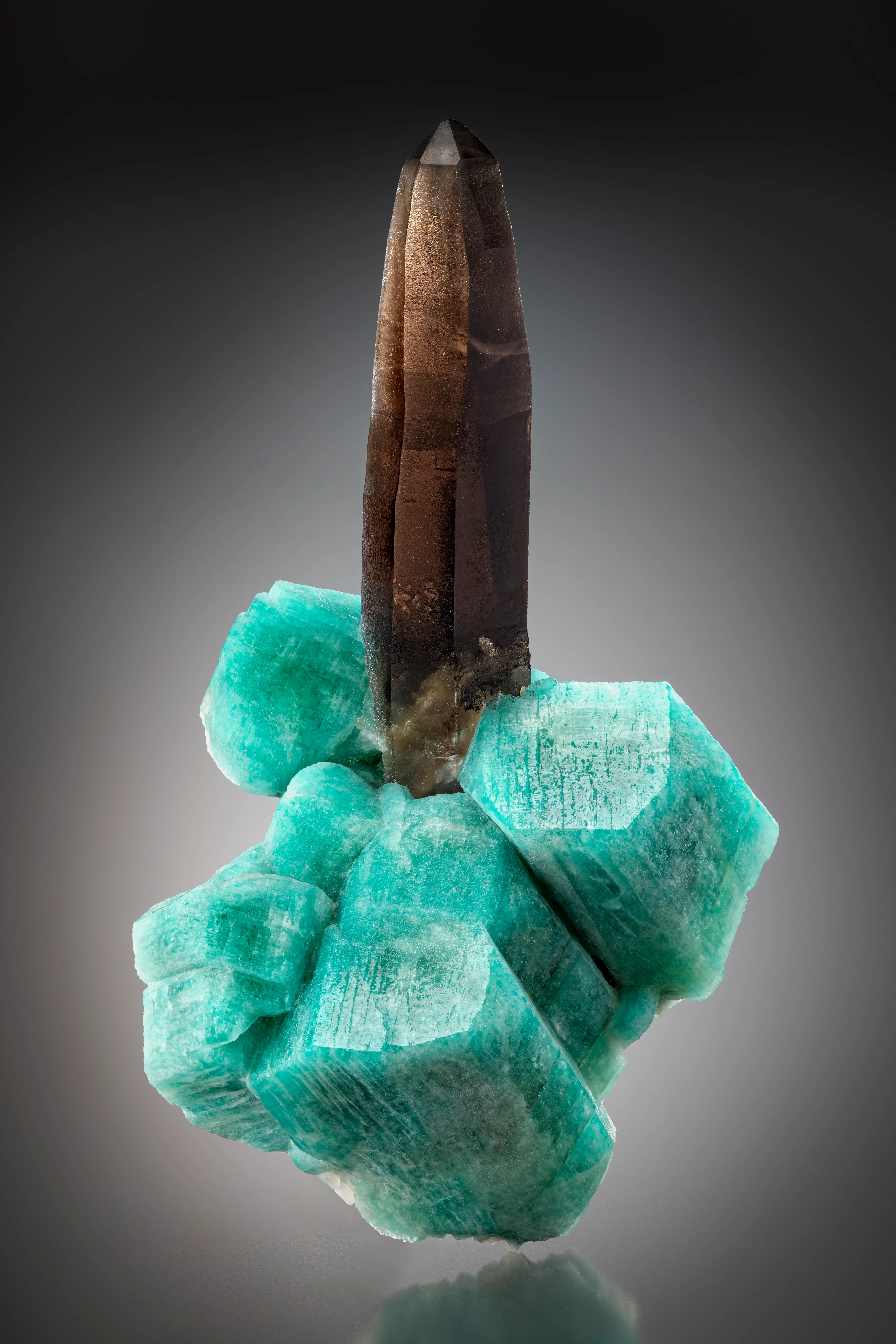 Smoky Quartz on Amazonite - image 1