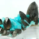 Smoky Quartz on Amazonite - image 1