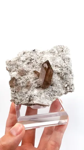 specimen video
