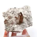 specimen video