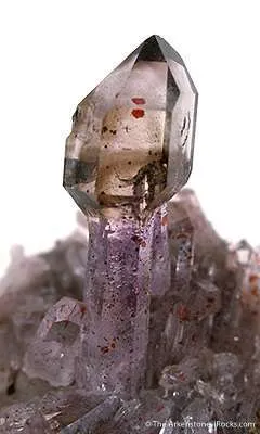Smoky Quartz Scepter on Amethyst - image 2