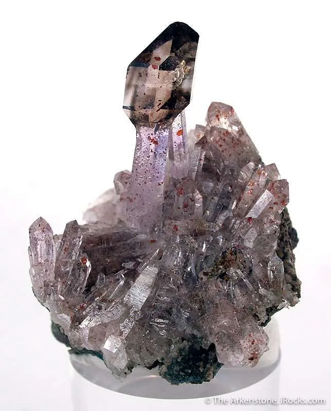 Smoky Quartz Scepter on Amethyst image