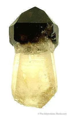 Smoky Quartz Scepter on Citrine image