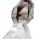 Smoky Quartz Scepter on Quartz - image 2