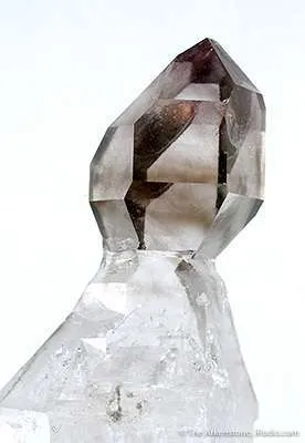 Smoky Quartz Scepter on Quartz - image 2