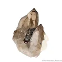 Smoky Quartz with Albite, Schorl and Spessartine - image 4