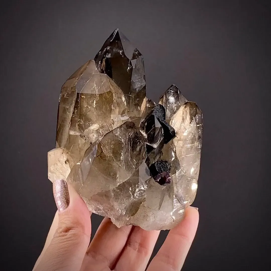 Smoky Quartz with Albite, Schorl and Spessartine - image 2