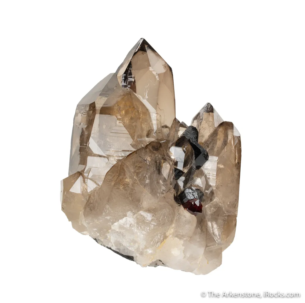 Smoky Quartz with Albite, Schorl and Spessartine image