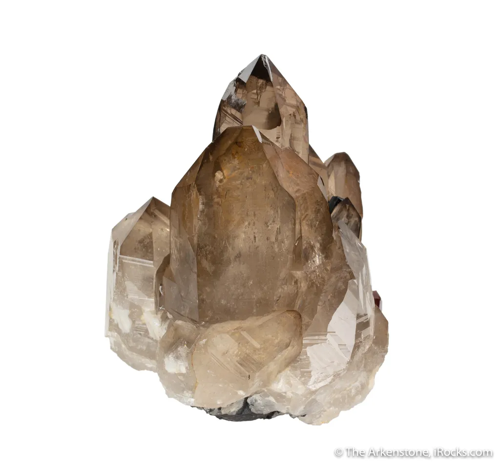 Smoky Quartz with Albite, Schorl and Spessartine - image 6