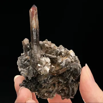 Smoky Quartz with Cassiterite on "Zinnwaldite"