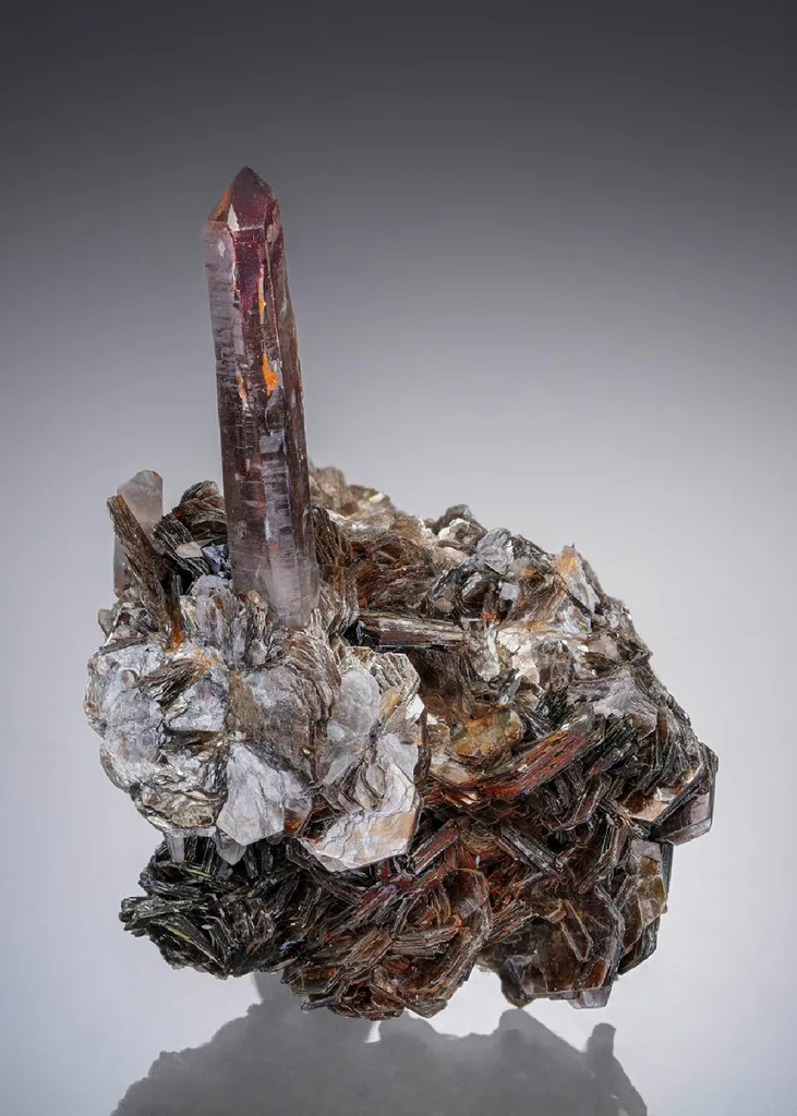Smoky Quartz with Cassiterite on "Zinnwaldite" image