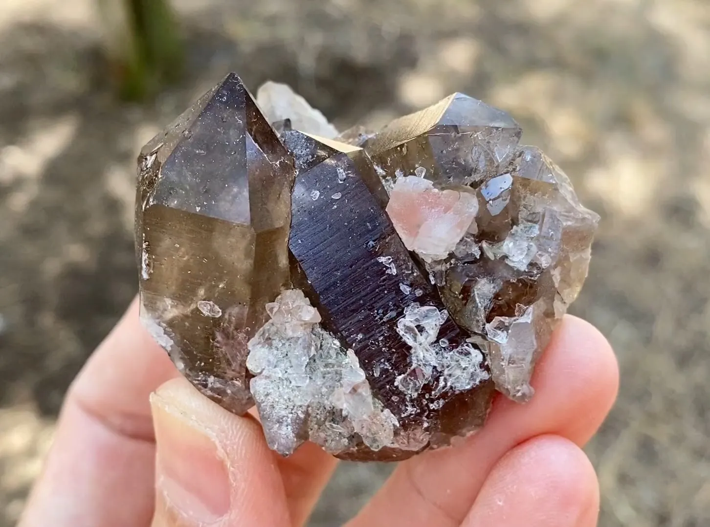 Smoky Quartz with Fluorite - image 5