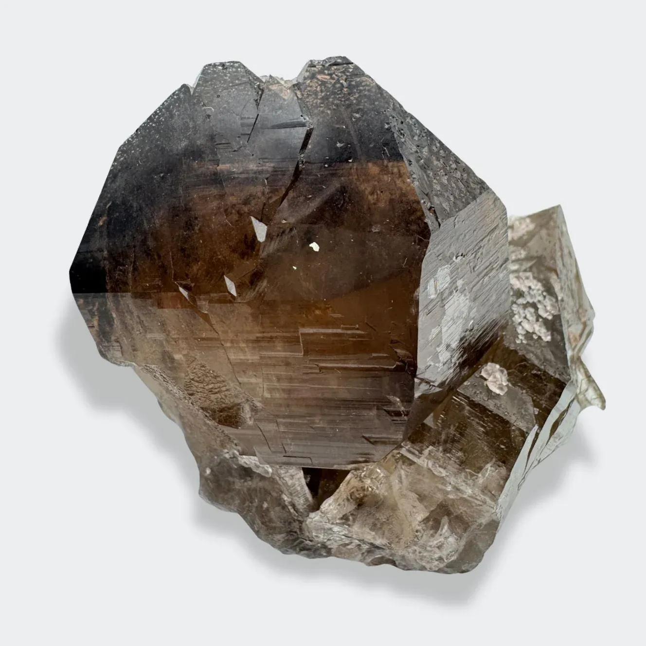 Smoky quartz with Fluorite from France, Auvergne-Rhône-Alpes, Chamonix-Mont-Blanc, Chamonix - image 4