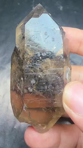 specimen video
