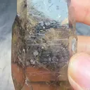 specimen video