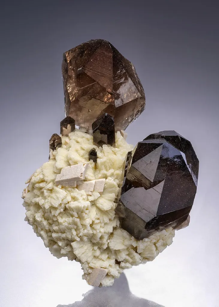 Smoky Quartz with Microcline on Albite image