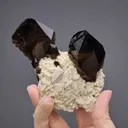 Smoky Quartz with Microcline on Albite - image 2
