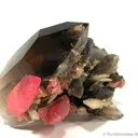 Smoky Quartz With Rhodochrosite and Bertrandite - image 1