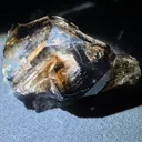 Smoky quartz  with soil inclusions and triangles marks - image 3
