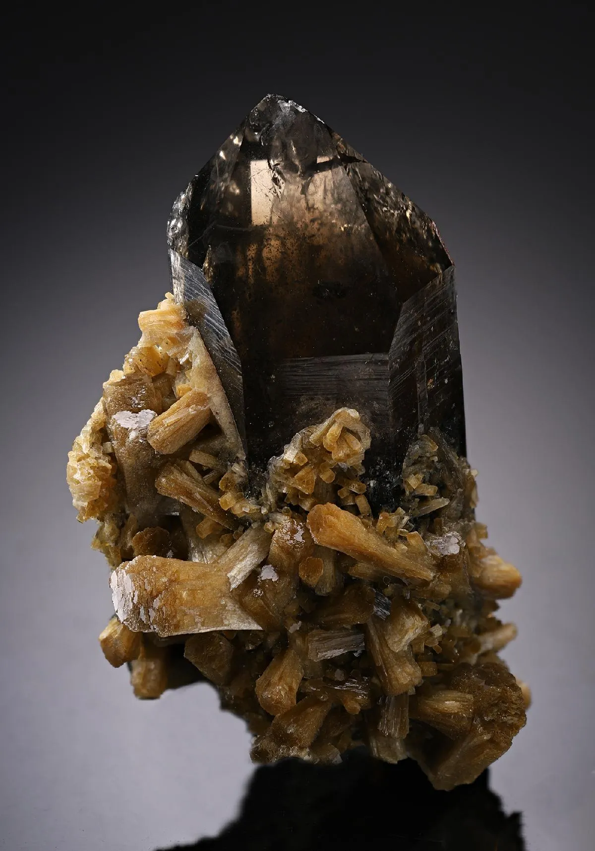 Smoky Quartz with Stilbite-Ca - image 1