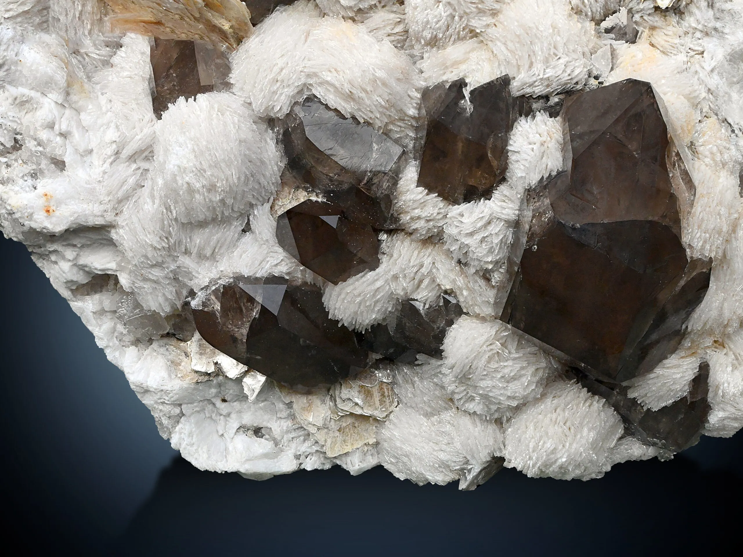 Smoky Quartz with Topaz and Fluorite on Cleavelandite - image 2