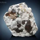 Smoky Quartz with Topaz and Fluorite on Cleavelandite - image 3