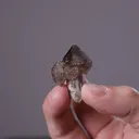 Smoky Sceptre Quartz - image 2