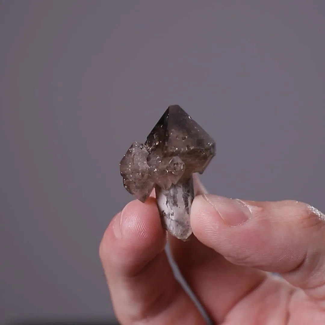 Smoky Sceptre Quartz - image 2