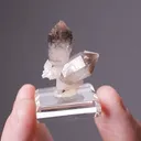 Smoky Sceptre Quartz - image 2
