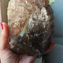 specimen video