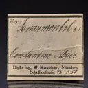 SÉNARMONTITE - image 1