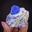 Sodalite on Nepheline - image 2