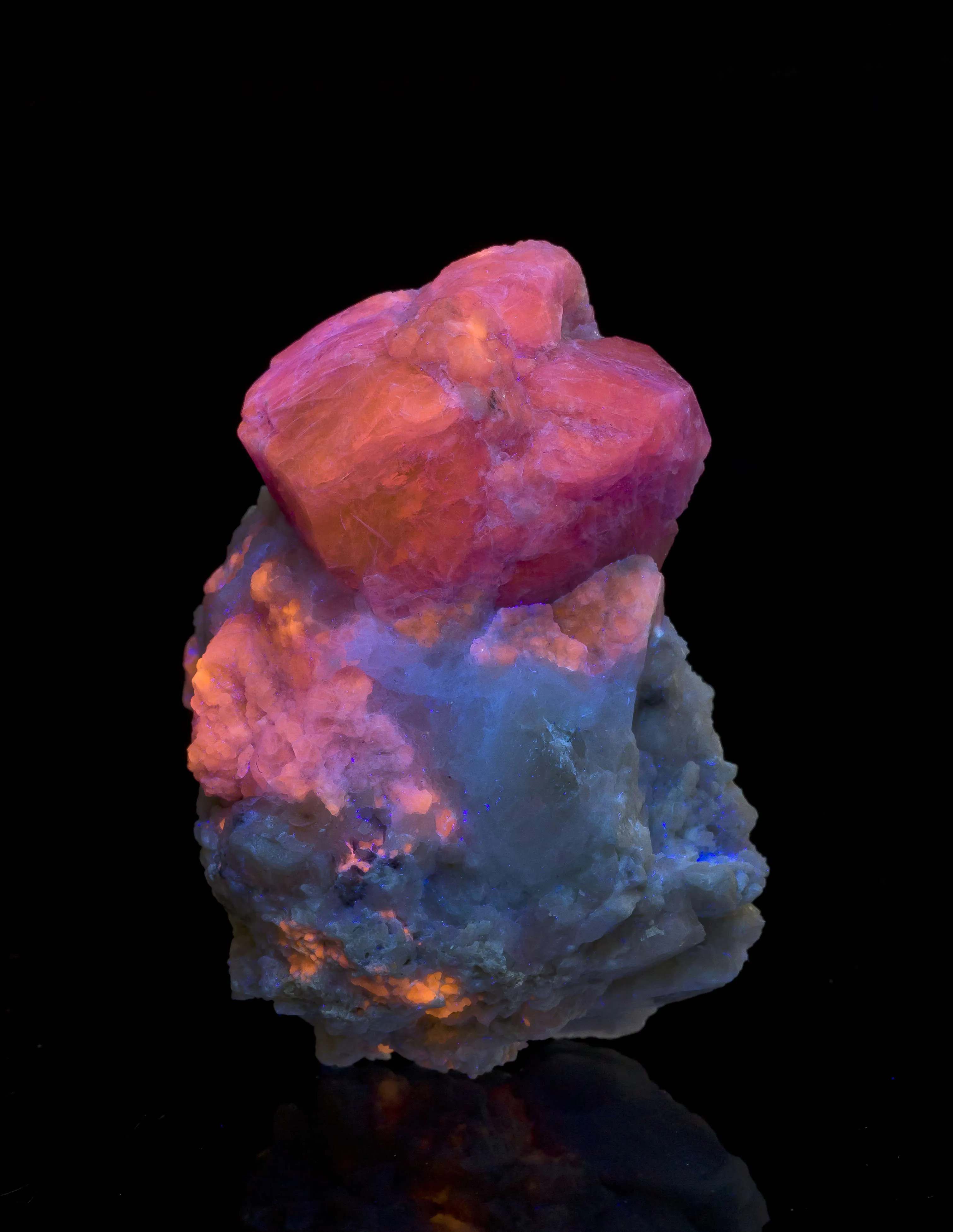 Sodalite Var. Hackmanite - image 3