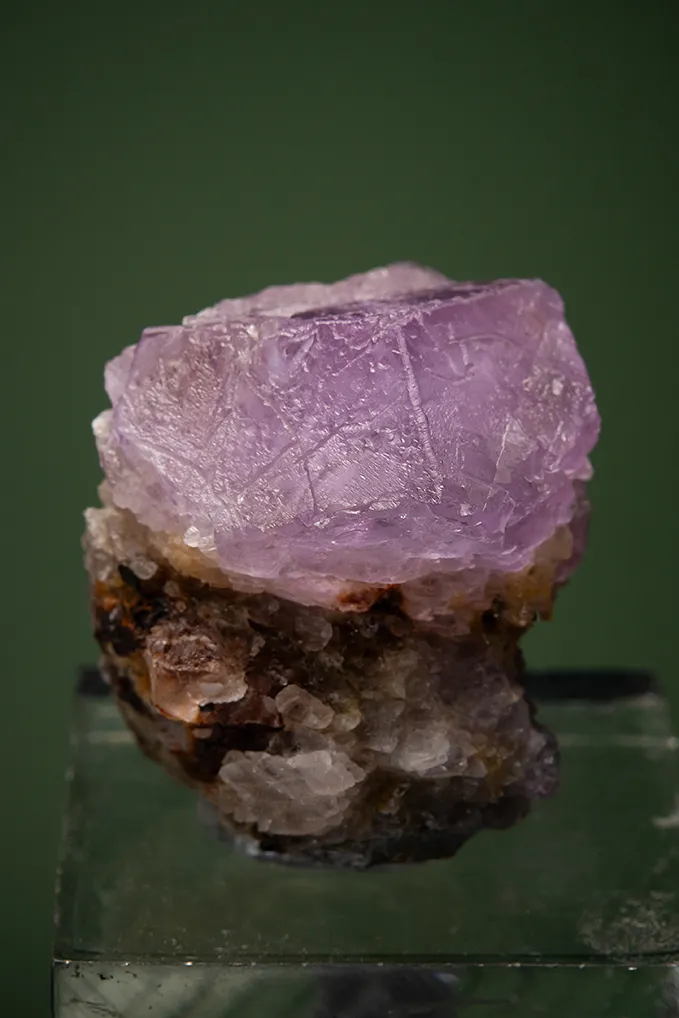 Sodalite var. Hackmanite image