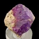 Sodalite Var. Hackmanite - image 4