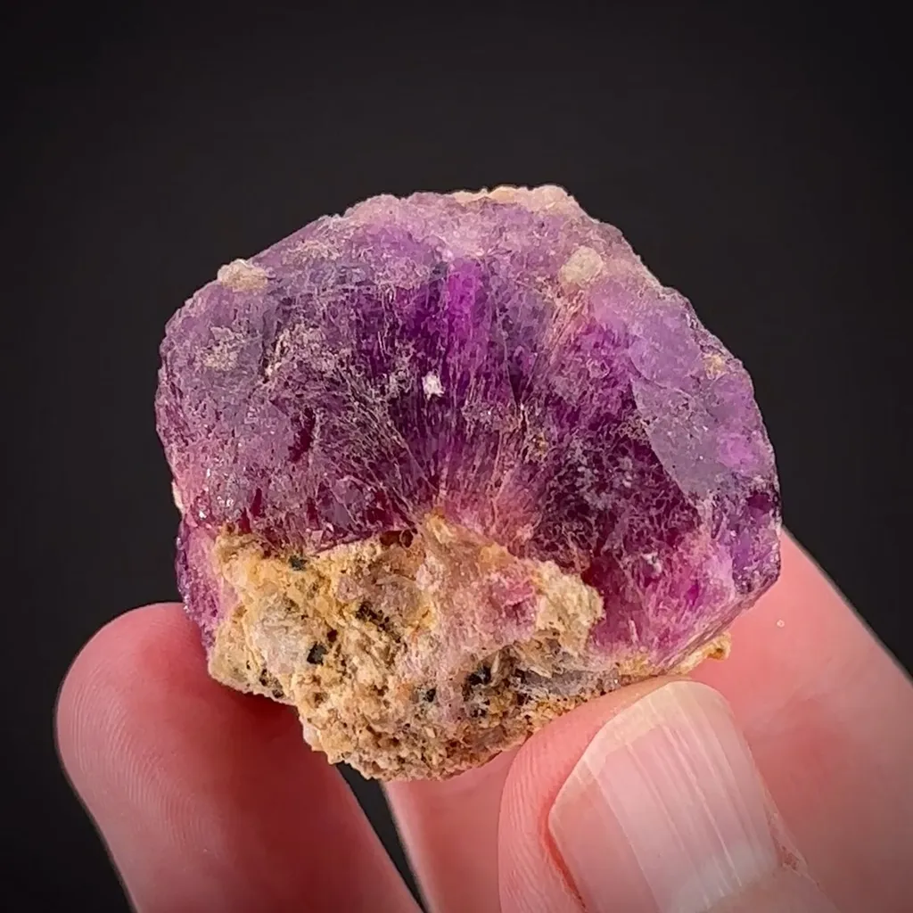 Sodalite Var. Hackmanite image