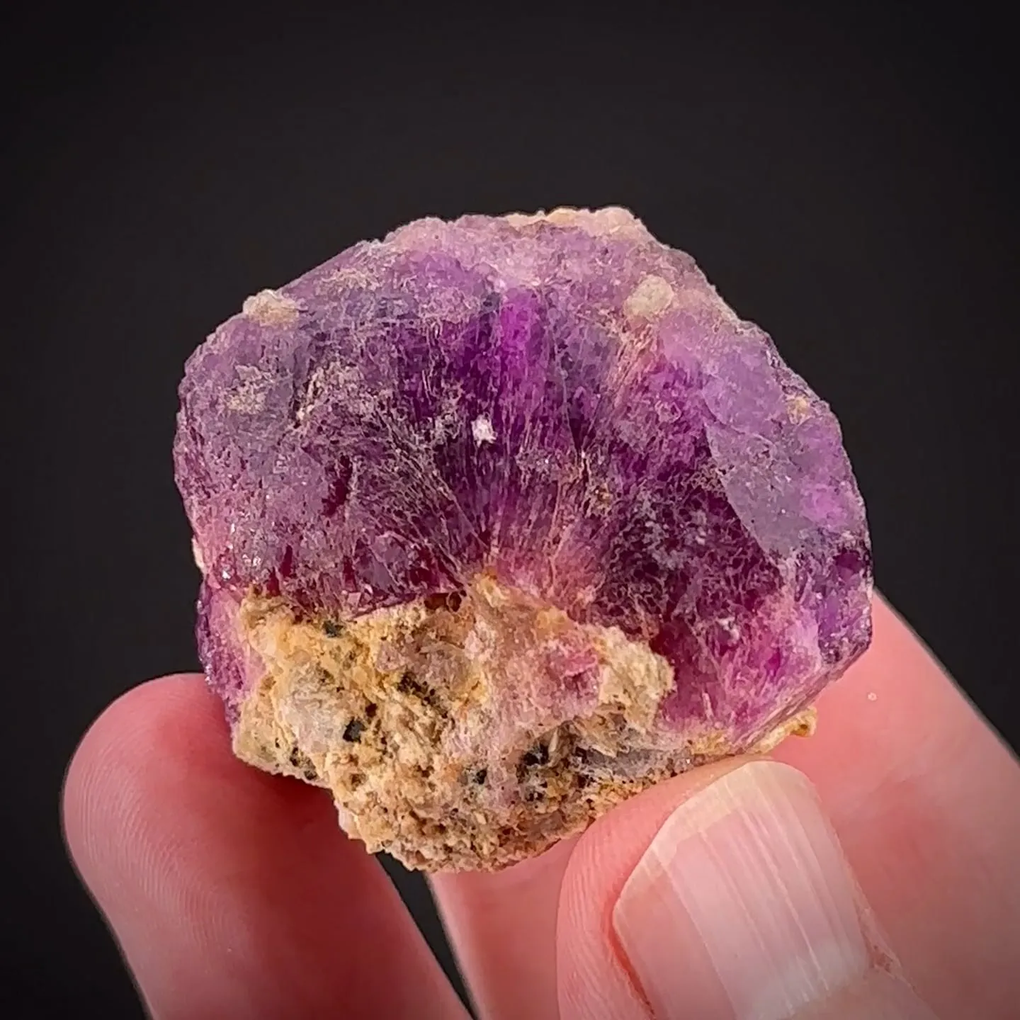 Sodalite Var. Hackmanite - image 1