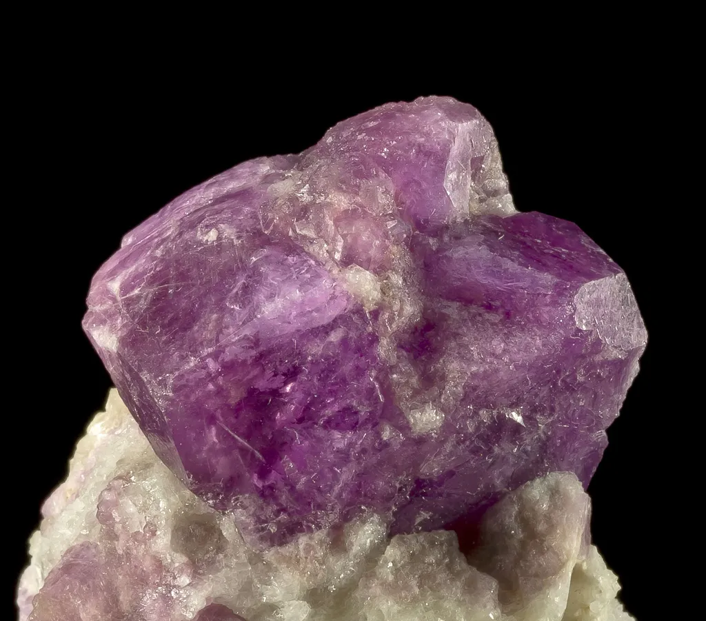 Sodalite Var. Hackmanite image