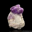 Sodalite var. Hackmanite - image 4