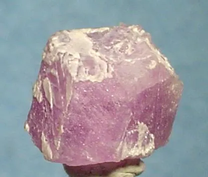 Sodalite (Var: Hackmanite) image